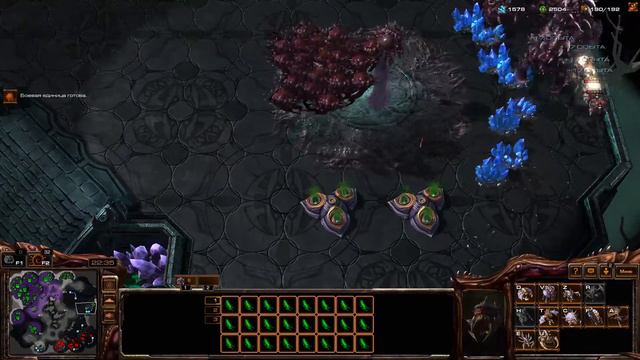 Starcraft II - BiHiTRiLL Gameplay смотреть онлайн
