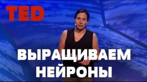 TZ - TED - ВЫ МОЖЕТЕ ВЫРАСТИТЬ НОВЫЕ КЛЕТКИ МОЗГА