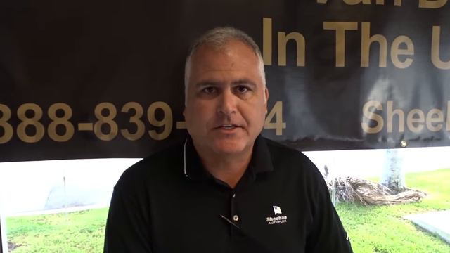 Guy Fusco смотреть онлайн