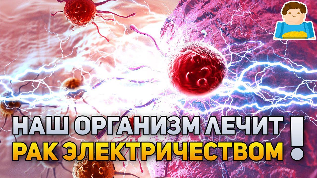 Наш организм лечит РАК электричеством! | Plushkin смотреть онлайн