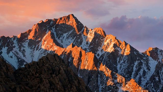 Blue Wednesday - Curiosity