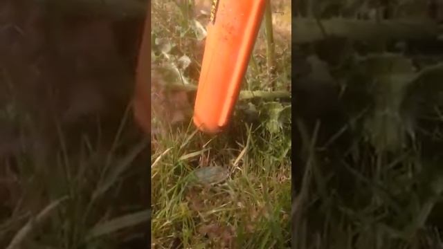 GP-Pointer смотреть онлайн