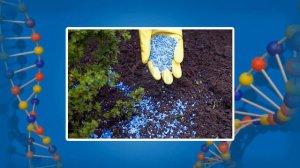 Закономерности действия факторов среды на организмы