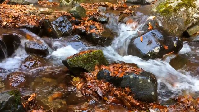 Stormy Waterfall (10 hours) Rivers Sounds (relaxing nature white noise). смотреть онлайн