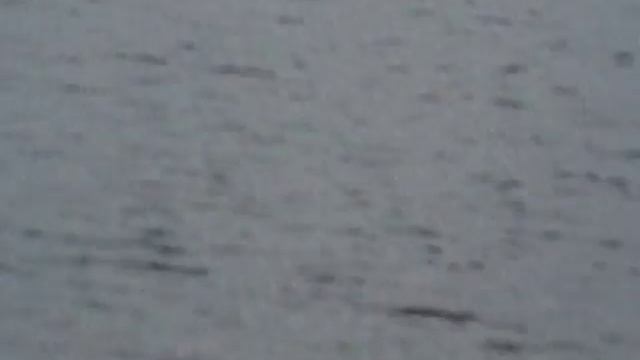 рыбалка бедкаш ловля щуки-2 смотреть онлайн