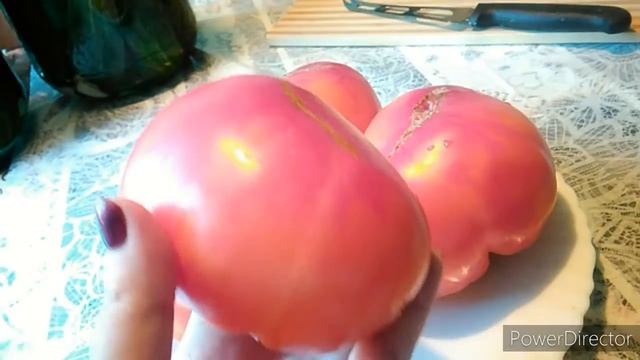 Звезда Техаса биколор смотреть онлайн