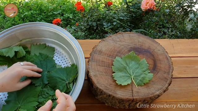 ABSOLUTELY DELICIOUS! QUICK STUFFED GRAPE LEAVES WITH HERBS AND RICE! DOLMA RECIPE смотреть онлайн