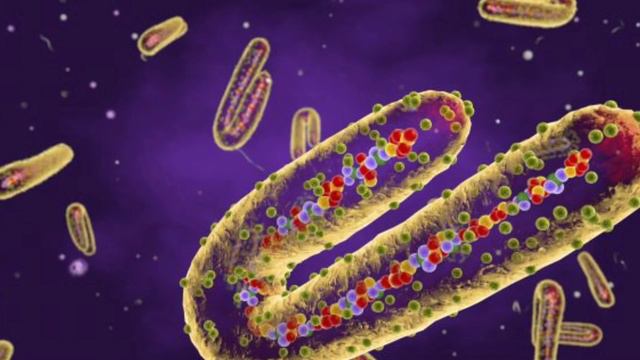 Coronavirus Not Made By China | Bio War | Thamizh Thakkaar