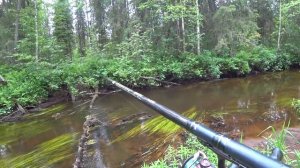 Поход по таежным речкам. Ловлю хариуса.