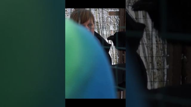 Несколько добрых слов от говорящего ворона Карлуши смотреть онлайн