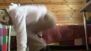 ?Квадробика:как научиться прыжкам?Все поподробнее!✨от Ирисовой Звезды :3