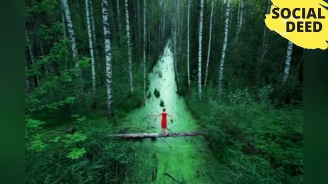 Top 10 Amazing Images Ever Taken Without The Use Of Photoshop | SOCIAL DEED смотреть онлайн