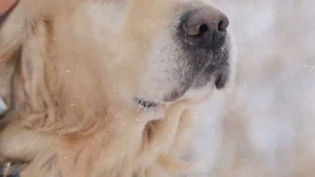 Антею 9 лет смотреть онлайн