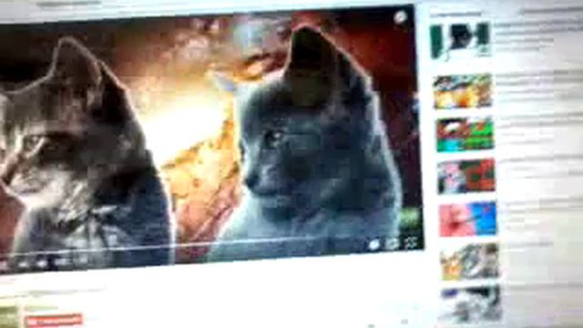 Что будет кот делать 1 дома смотреть онлайн