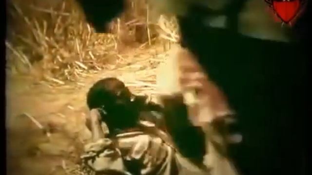 Hunting python by leg At Africa (Anaconda ) смотреть онлайн