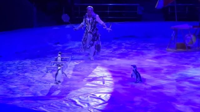 СПЕШИТЕ ВИДЕТЬ !!!! Клоун Май(НАШЕ детство)Иваново.Сегодня и до марта.(Три династии в одном Цирке! смотреть онлайн