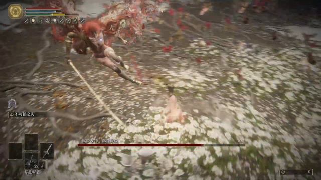 ELDEN RING Malenia Coded Sword/瑪蓮妮亞 祕文劍/マレニア 秘文字の剣/LV1 No Damage/V1.08 смотреть онлайн