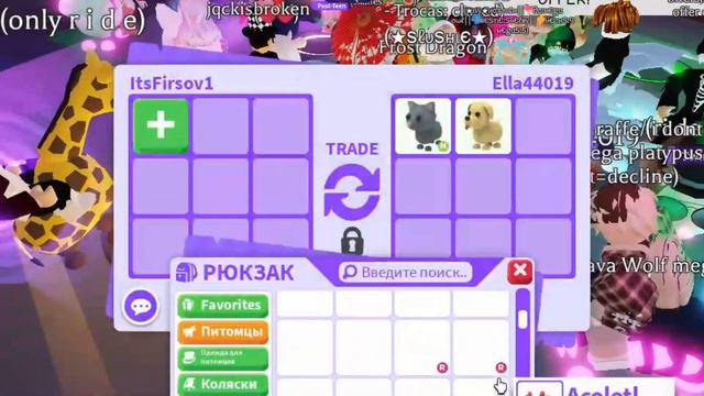 ЧТО ДАЮТ ЗА МЕГА WHITE AMAZON в Adopt Me⚪🦜┃ROBLOX ADOPT ME