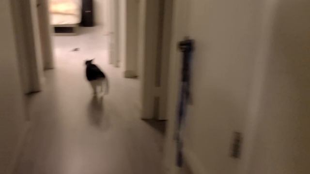 This is my space :o (behind the scenes) смотреть онлайн