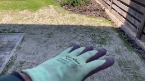 Реставрация газона. Как правильно делать пескование газона? Вычесывание, аэрация газона 2022