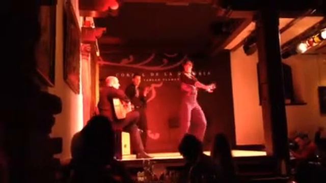 Flamenco night. смотреть онлайн