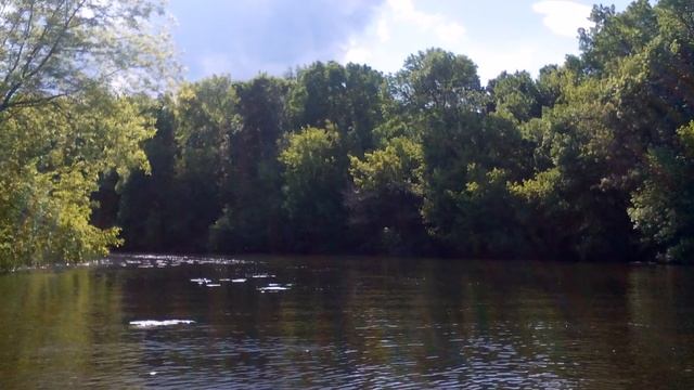 Псел. Побег в Живой Мир смотреть онлайн