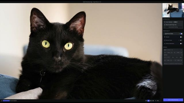 Photo AI Has A MAJOR FLAW When Used With PHOTOSHOP! смотреть онлайн