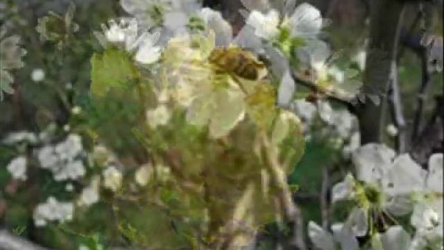 А за окном понимаешь, весна за окном смотреть онлайн