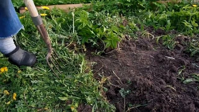 Вилы с тонким «зубом» смотреть онлайн