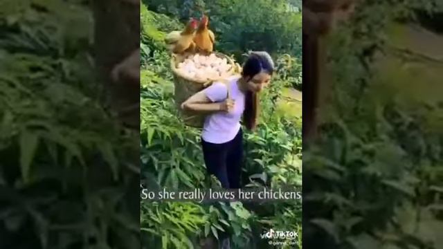 Сколько куриц больше 100000000000000 смотреть онлайн
