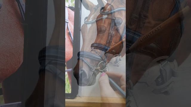 Colour pencil drawing, horse art ✍️ смотреть онлайн