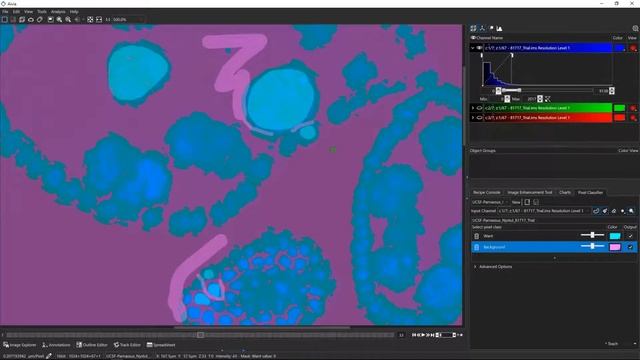 Fast trainable image enhancement (3D fluorescence) смотреть онлайн