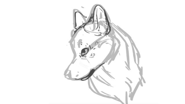 WOLF SKETCH - SPEEDPAINT смотреть онлайн