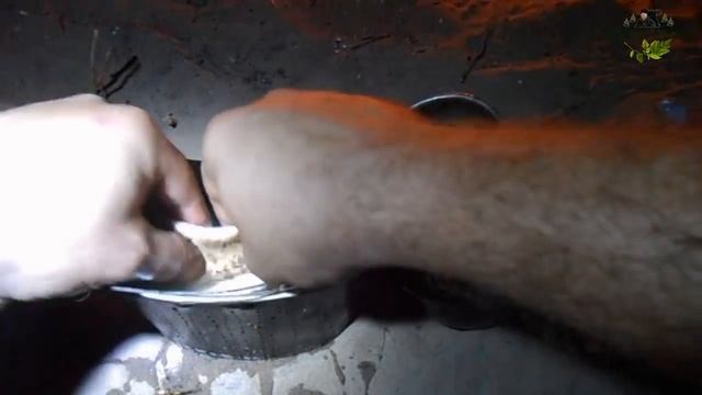 Лесная землянка 1 часть | Курица с грибами в сметанном соусе смотреть онлайн