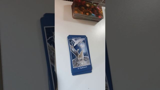 ВЕТЕР ПЕРЕМЕН смотреть онлайн