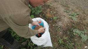 СЕЕМ ГОРЧИЦУ / СЕЯЛКА РУЧНАЯ GARDENA