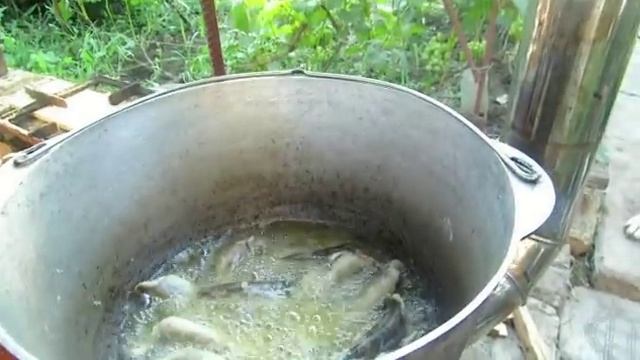 Бычки в томате консерва на ракетной печи( Rocket Stove) смотреть онлайн