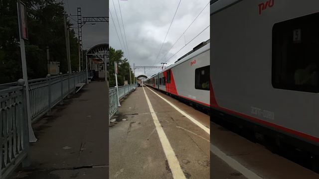 Ласточка до Москвы #санктпетербург #железнаядорога #поезд #ржд #жд #ласточка #окт #поезд смотреть онлайн