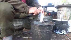 Таежная КУХНЯ. КАК ВКУСНО ПРИГОТОВИТЬ КАРАСЯ В ПОЛЕВЫХ УСЛОВИЯХ В ЯКУТИИ.