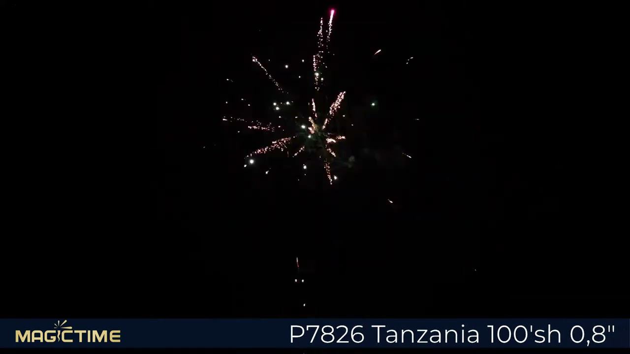 P7826 Tanzania смотреть онлайн