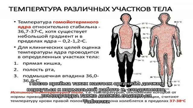Как повысить температуру тела? Средства, повышающие температуру тела быстро смотреть онлайн