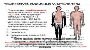 Как повысить температуру тела? Средства, повышающие температуру тела быстро
