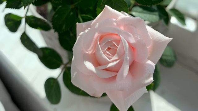 Медитация – упражнения на достижение целей ￼ смотреть онлайн