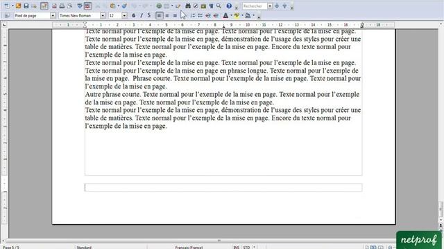 Open Office Writer Numéro de page смотреть онлайн