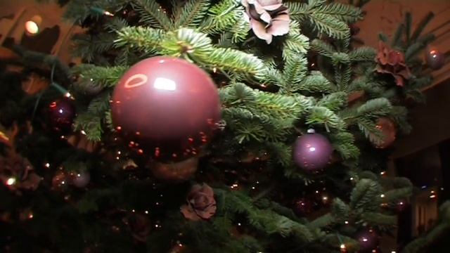 Поздравление Кирилла Николаева с Новым Годом смотреть онлайн