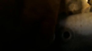 Шум в двигателе шевроле кобальт