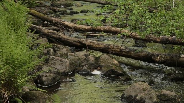 Ладога, Карелия, Ладожские шхеры, туры и отдых смотреть онлайн