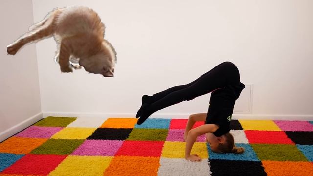 ЙОГА ЧЕЛЛЕНДЖ С ЖИВОТНЫМИ 2 ? Одиночные позы для Николь. YOGA CHALLENGE the Best Challenges смотреть онлайн