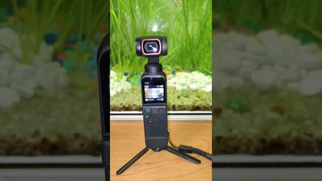 DJI Pocket2 Combo. А что он может? #djipocket2 смотреть онлайн
