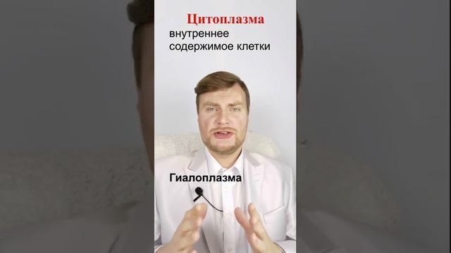 Цитоплазма. ЕГЭ Биология. ЕГЭ 2022. смотреть онлайн